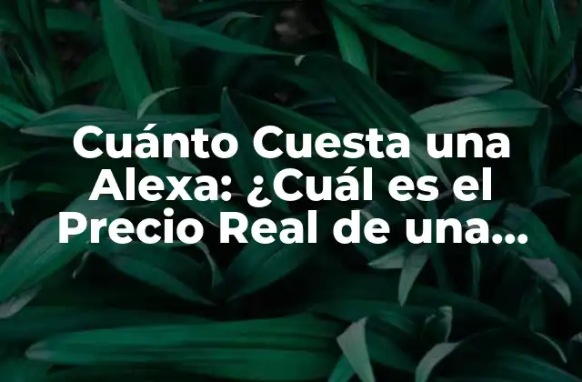 Los Diferentes Modelos de Alexa y sus Precios