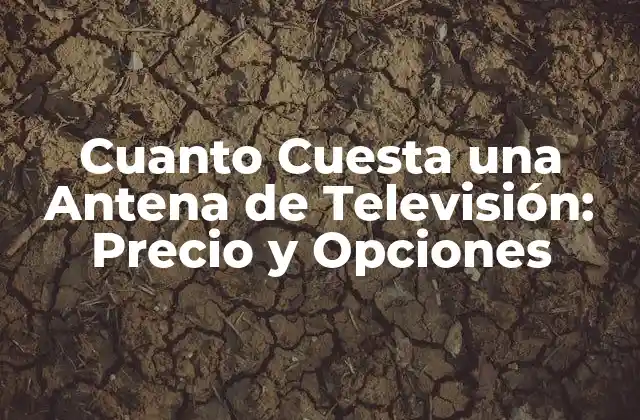 Tipos de Antenas de Televisión