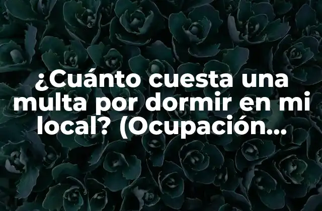 ¿cuánto Cuesta una Multa por Dormir en Mi Local? (ocupación Ilegal de Viviendas)