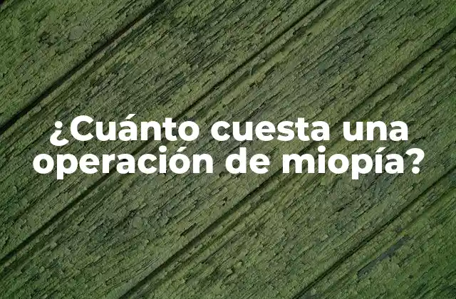 ¿Cuáles son los diferentes tipos de cirugía de miopía?