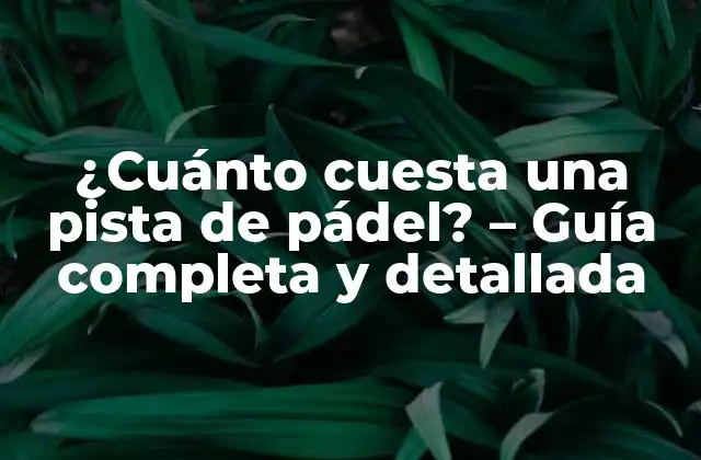 ¿cuánto Cuesta una Pista de Pádel? – Guía Completa y Detallada