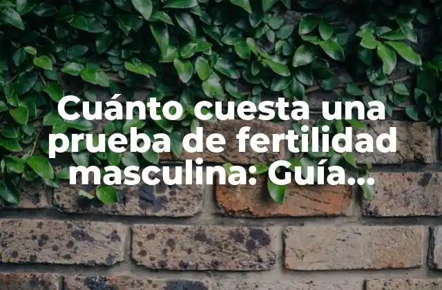 Cuánto Cuesta una Prueba de Fertilidad Masculina: Guía Completa