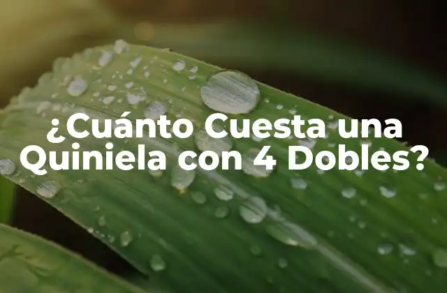 ¿cuánto Cuesta una Quiniela con 4 Dobles? 2 ¿Qué es una Quiniela con 4 Dobles?