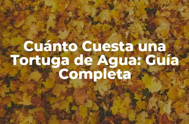 Cuánto Cuesta una Tortuga de Agua: Guía Completa