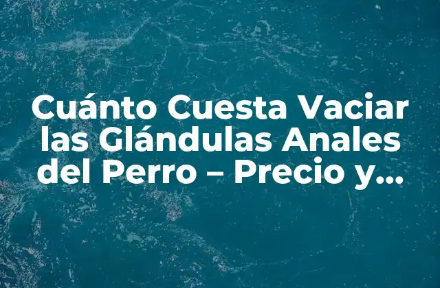Cuánto Cuesta Vaciar las Glándulas Anales Del Perro – Precio y Procedimiento