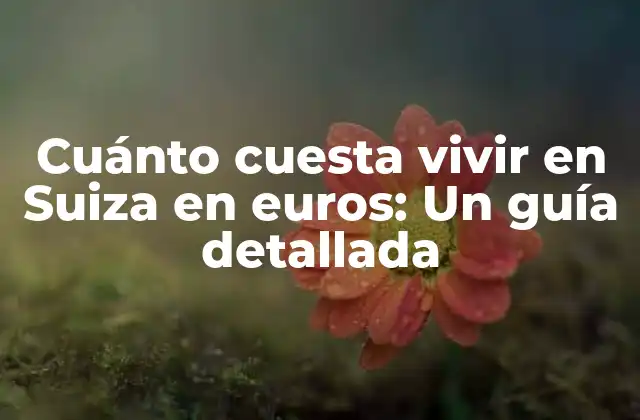 Cuánto Cuesta Vivir en Suiza en Euros: un Guía Detallada