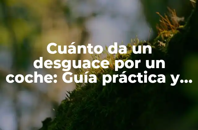 Cuánto Da un Desguace por un Coche: Guía Práctica y Detallada