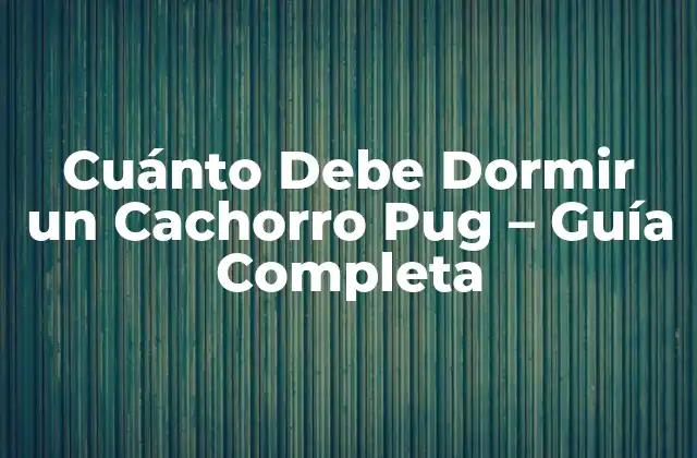 Cuánto Debe Dormir un Cachorro Pug – Guía Completa