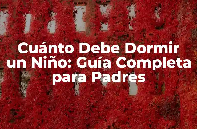 Cuánto Debe Dormir un Niño: Guía Completa para Padres