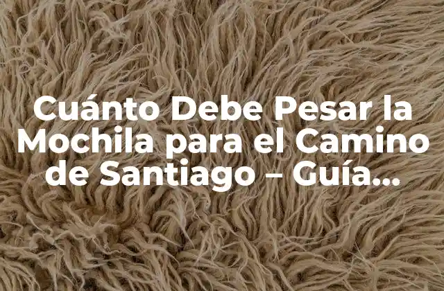 Cuánto Debe Pesar la Mochila para el Camino de Santiago – Guía Completa