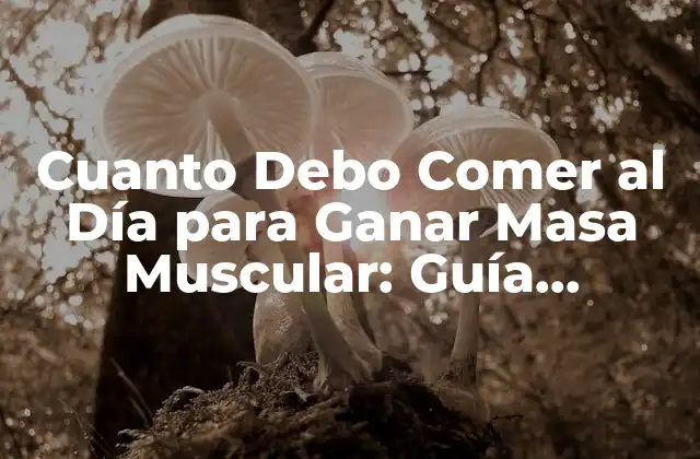 Cuanto Debo Comer Al Día para Ganar Masa Muscular: Guía Completa 2 ¿Cuáles son las Necesidades Nutricionales para Ganar Masa Muscular?