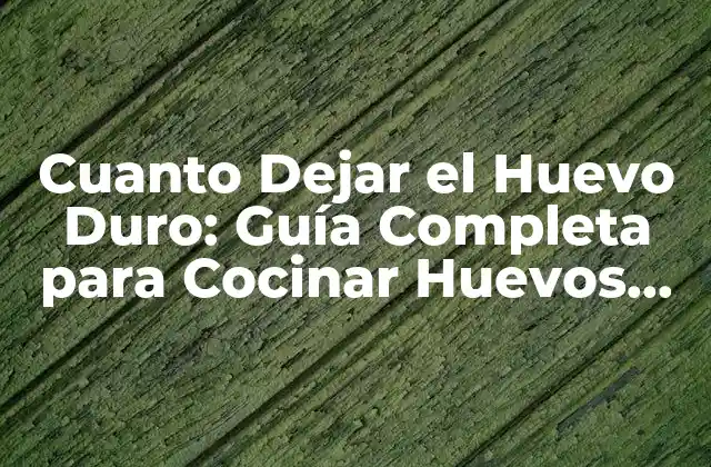 Cuanto Dejar el Huevo Duro: Guía Completa para Cocinar Huevos Perfectos