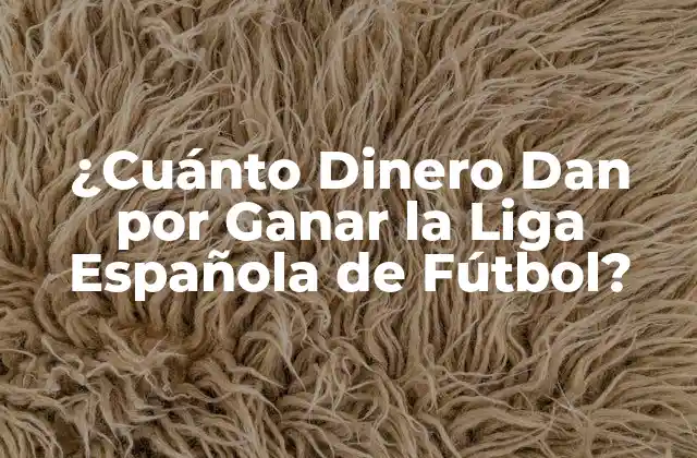 ¿cuánto Dinero Dan por Ganar la Liga Española de Fútbol?