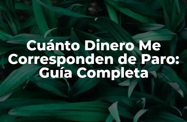 Cuánto Dinero Me Corresponden de Paro: Guía Completa