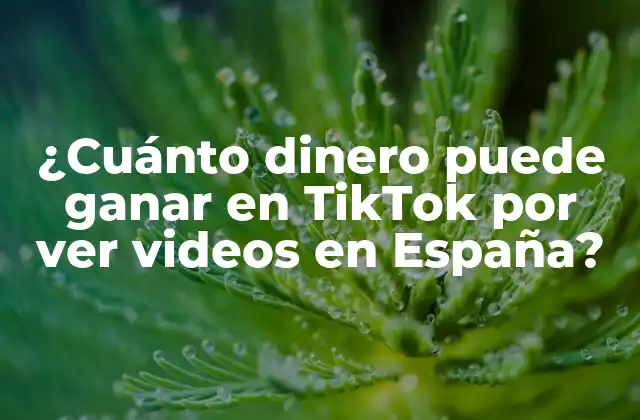 ¿cuánto Dinero Puede Ganar en Tiktok por Ver Videos en España?