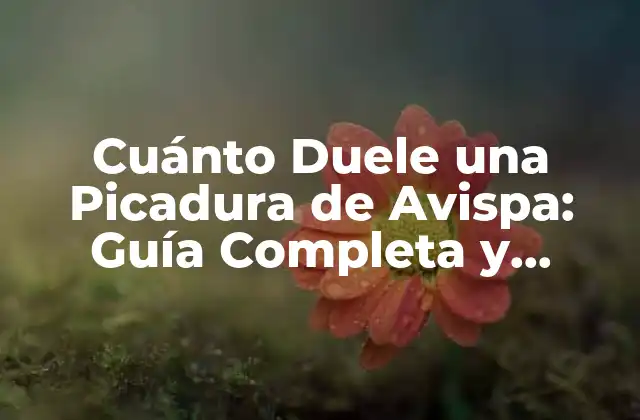 Cuánto Duele una Picadura de Avispa: Guía Completa y Actualizada