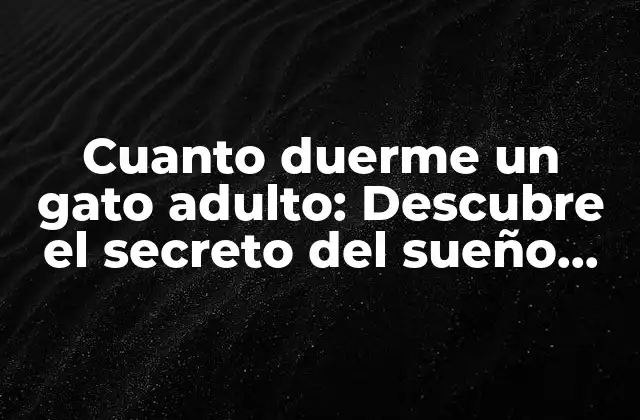 Cuanto Duerme un Gato Adulto: Descubre el Secreto Del Sueño Felino