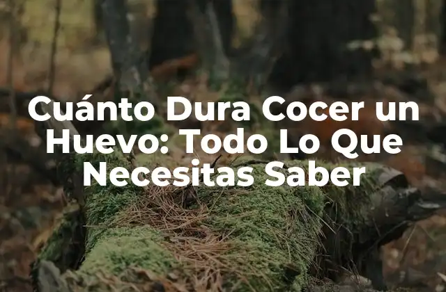 Cuánto Dura Cocer un Huevo: Todo Lo que Necesitas Saber