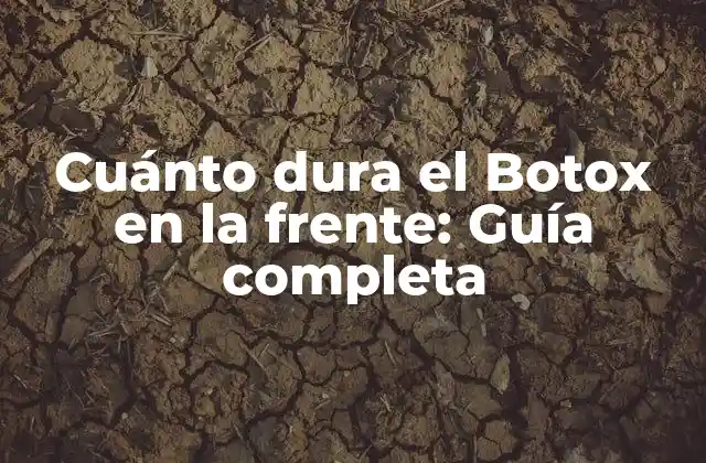 Cuánto Dura el Botox en la Frente: Guía Completa