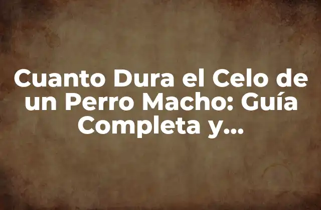 Cuanto Dura el Celo de un Perro Macho: Guía Completa y Actualizada