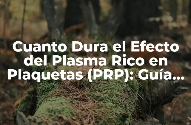 ¿Cuál es el Propósito del Plasma Rico en Plaquetas?