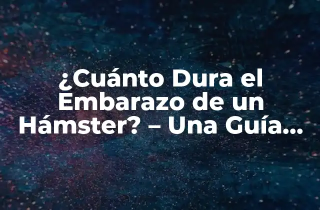 ¿cuánto Dura el Embarazo de un Hámster? – una Guía Completa