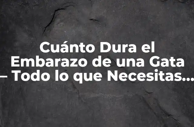 Cuánto Dura el Embarazo de una Gata – Todo Lo que Necesitas Saber