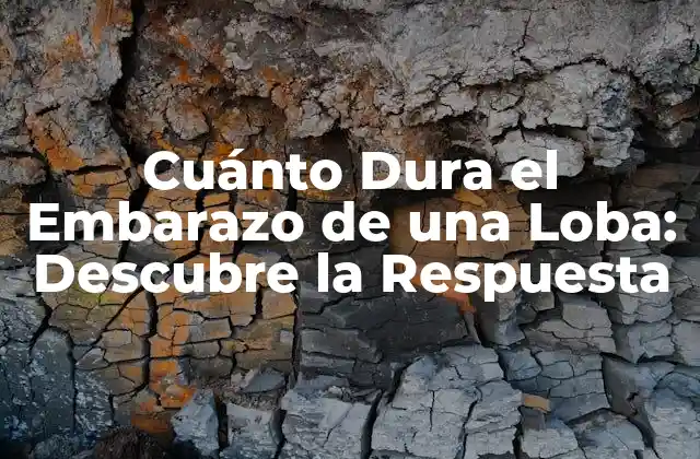 Cuánto Dura el Embarazo de una Loba: Descubre la Respuesta