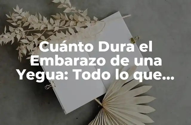 Cuánto Dura el Embarazo de una Yegua: Todo Lo que Necesitas Saber