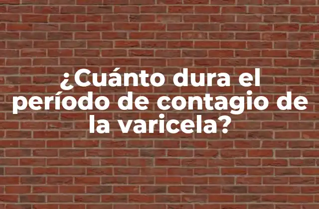 ¿cuánto Dura el Período de Contagio de la Varicela?