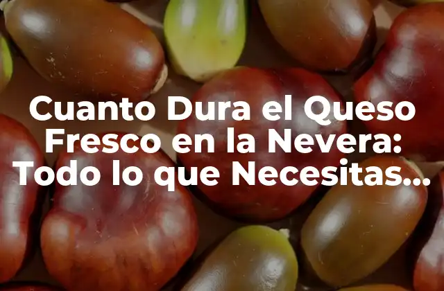 Cuanto Dura el Queso Fresco en la Nevera: Todo Lo que Necesitas Saber