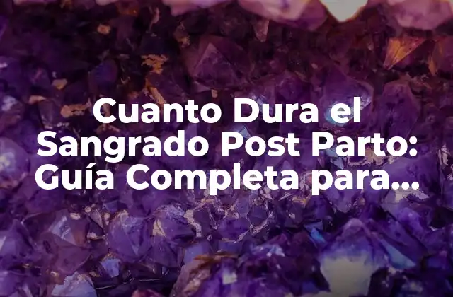 Cuanto Dura el Sangrado Post Parto: Guía Completa para Madres Primerizas