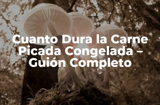 Cuanto Dura la Carne Picada Congelada - Guión Completo 2 Factores que Afectan la Duración de la Carne Picada Congelada
