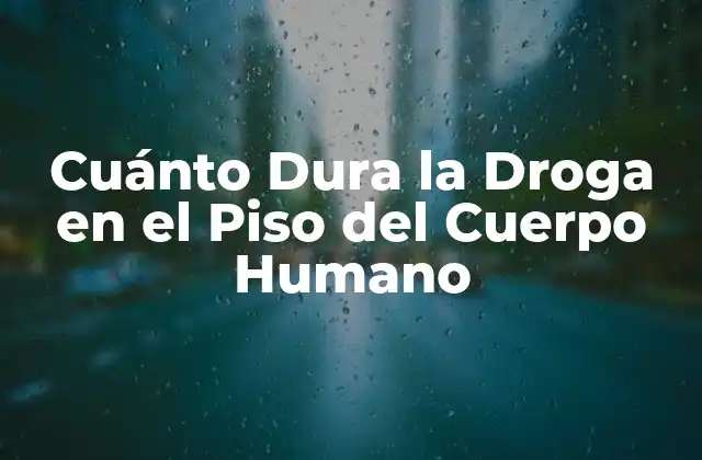 Cuánto Dura la Droga en el Piso Del Cuerpo Humano