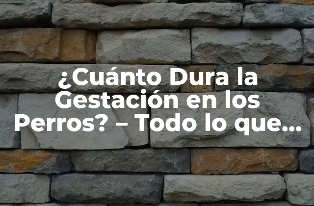 ¿cuánto Dura la Gestación en los Perros? – Todo Lo que Necesitas Saber