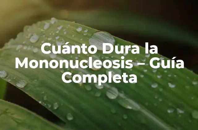 Cuánto Dura la Mononucleosis – Guía Completa