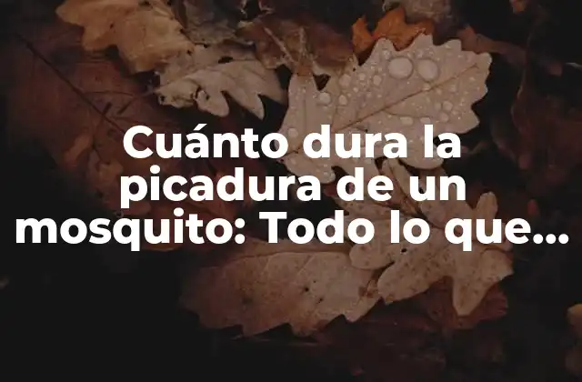 Cuánto Dura la Picadura de un Mosquito: Todo Lo que Necesitas Saber