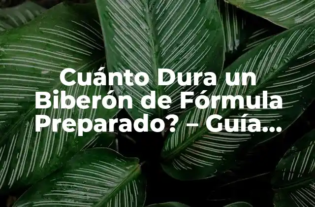 Cuánto Dura un Biberón de Fórmula Preparado? – Guía Complet