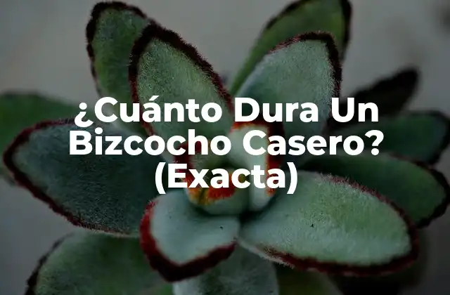 ¿cuánto Dura un Bizcocho Casero? (exacta)