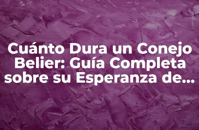 Cuánto Dura un Conejo Belier: Guía Completa sobre Su Esperanza de Vida