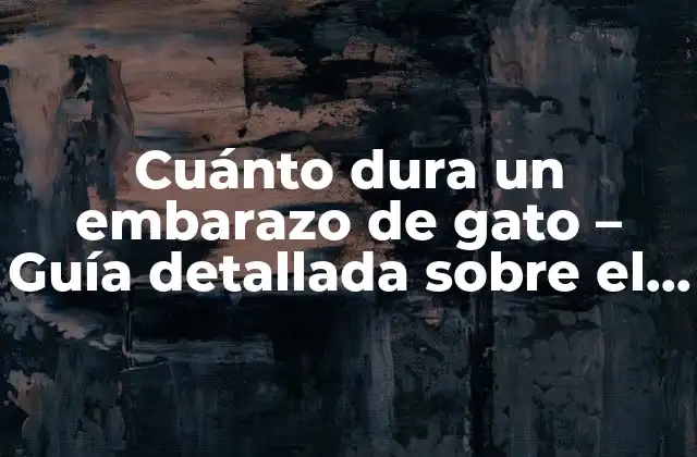 Cuánto Dura un Embarazo de Gato – Guía Detallada sobre el Embarazo Felino