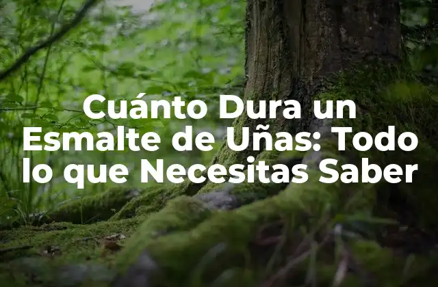 La Duración Promedio del Esmalte de Uñas