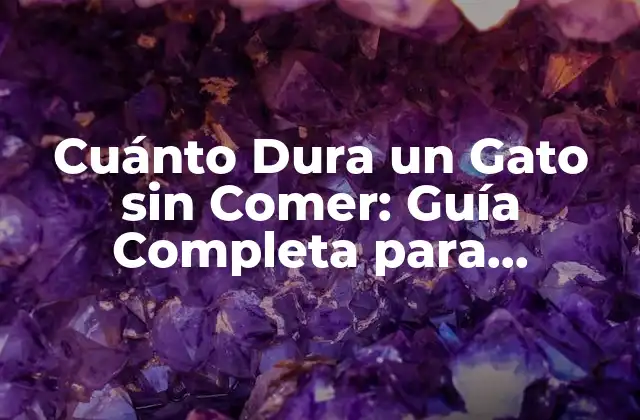 Cuánto Dura un Gato sin Comer: Guía Completa para Propietarios Preocupados