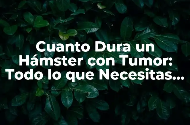 Cuanto Dura un Hámster con Tumor: Todo Lo que Necesitas Saber