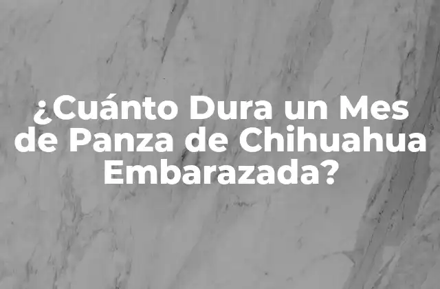 La Fertilización y el Embarazo en Chihuahuas