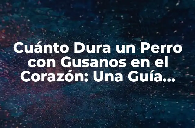 Cuánto Dura un Perro con Gusanos en el Corazón: una Guía Completa