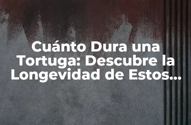 Cuánto Dura una Tortuga: Descubre la Longevidad de Estos Increíbles Animales
