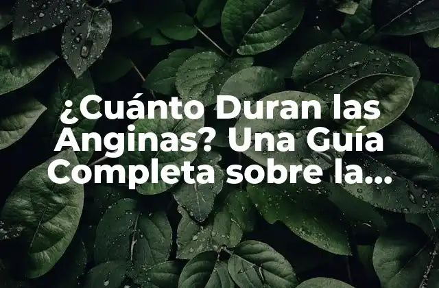 ¿cuánto Duran las Anginas? una Guía Completa sobre la Duración y el Tratamiento de las Anginas