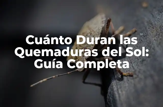 Cuánto Duran las Quemaduras Del Sol: Guía Completa