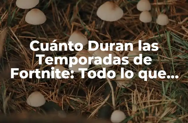 Cuánto Duran las Temporadas de Fortnite: Todo Lo que Necesitas Saber